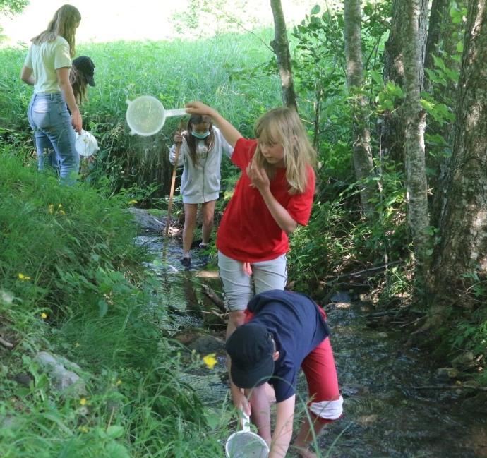 Activité nature: colonie les Florimontains