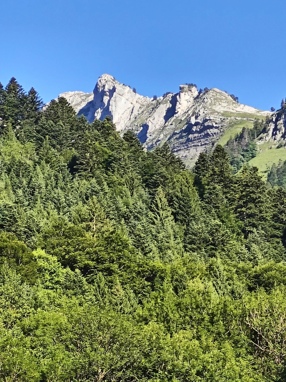 Dans le massif des Bauges